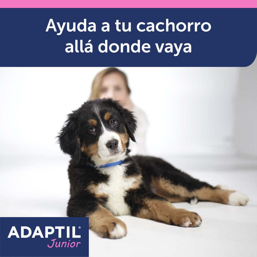 Adaptil Junior Collar Anti-estr&eacute;s para perros, , large Imagen numero 3