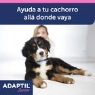 Adaptil Junior Collar Anti-estrés para perros, , large image number null