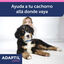 Adaptil Junior Collar Anti-estrés para perros, , large indicador imagen numero 3