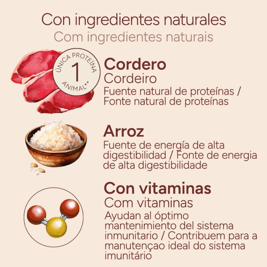 400 g Criadores Monoproteico Cordero y Arroz lata para perros, , large Imagen numero 4