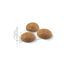 10 kg Royal Canin Active Life Outdoor pienso para gatos, , large indicador imagen numero 3