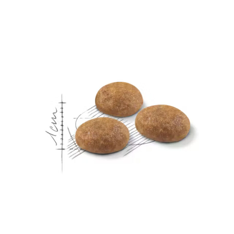 Royal Canin Active Life Outdoor pienso para gatos thumbnail