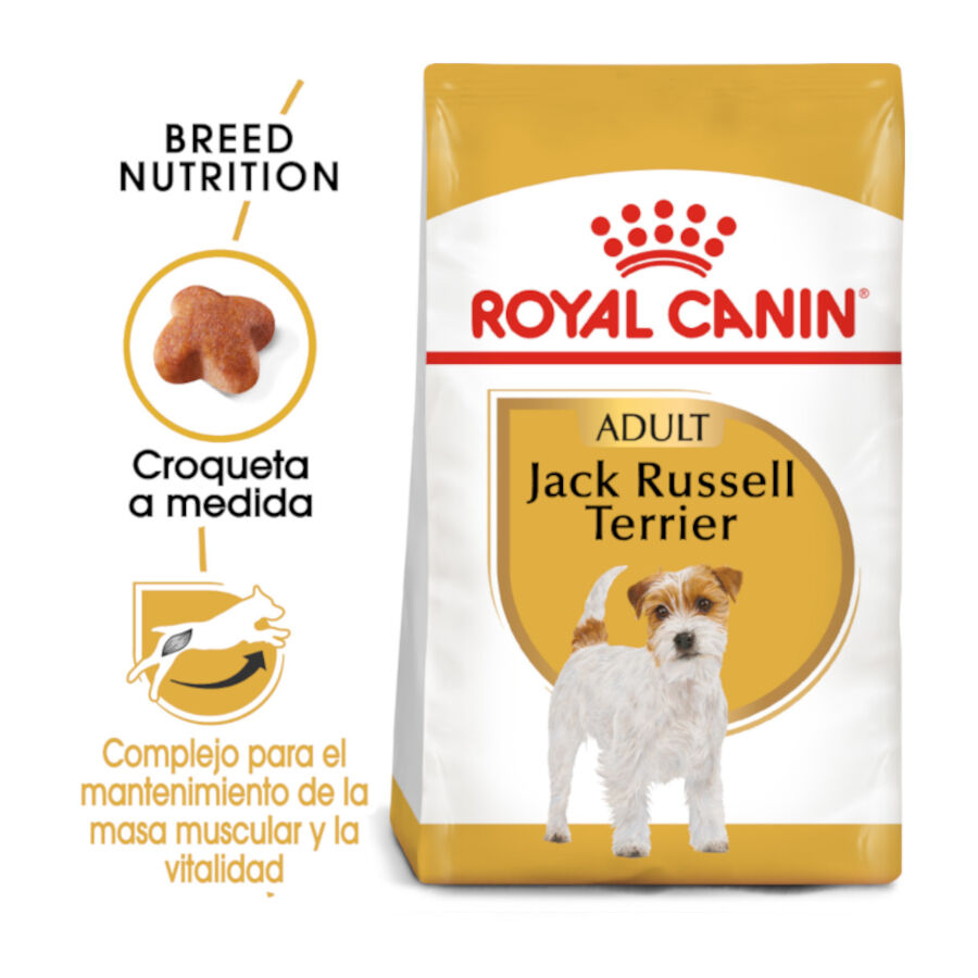 Royal Canin Adult Jack Russell Terrier pienso para perros thumbnail