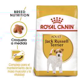 Royal Canin Adult Jack Russell Terrier pienso para perros