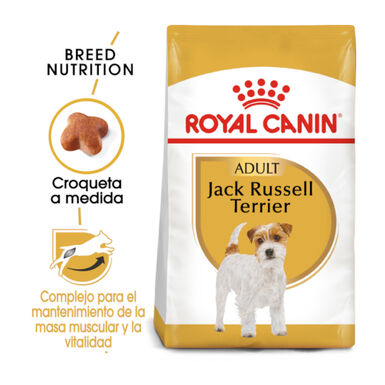 Royal Canin Adult Jack Russell Terrier pienso para perros
