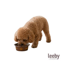 Leeby Comedero Estampado Huellas Acero Inoxidable para perros