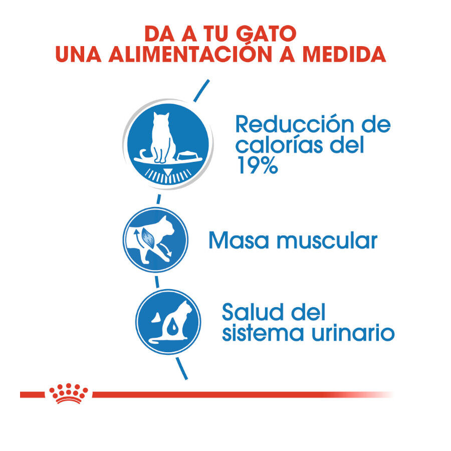 Royal Canin Ultra Light gelatina sobre para gatos thumbnail