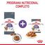 10 kg Royal Canin Appetite Control Care pienso para gatos, , large indicador imagen numero 8