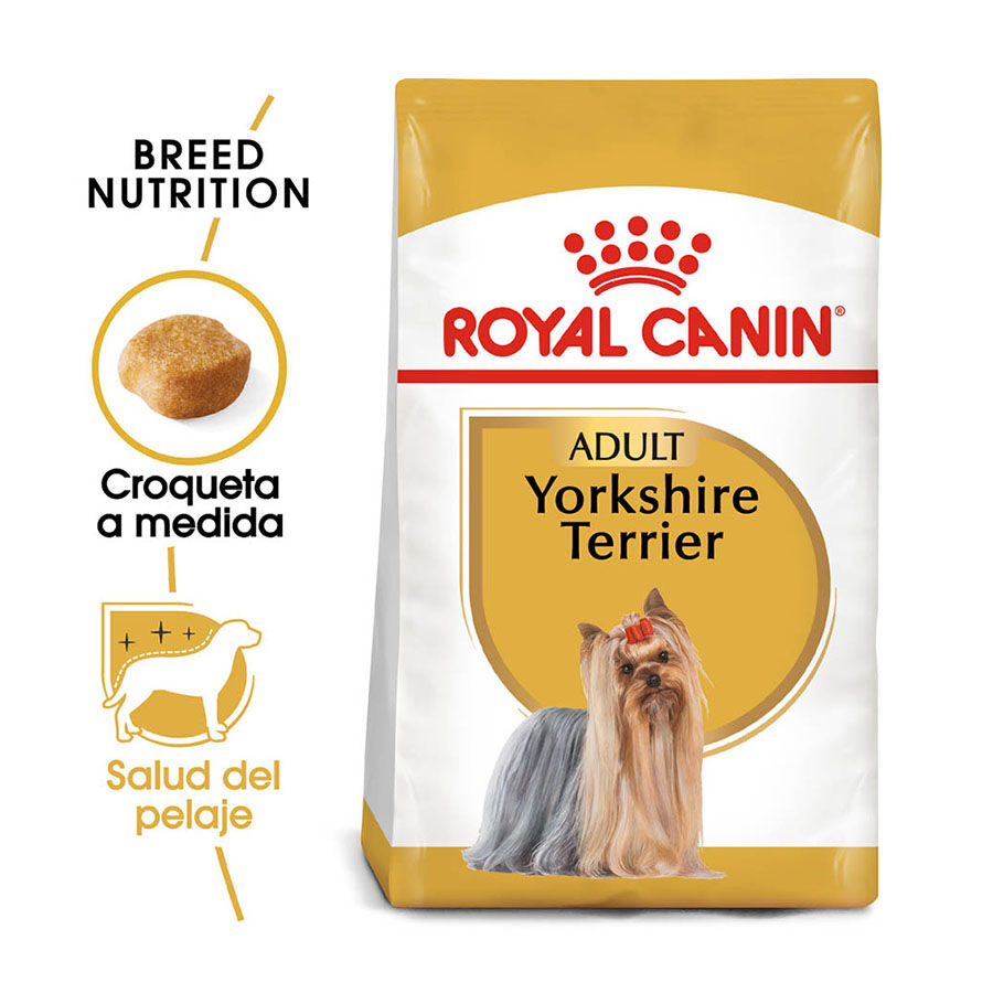 Royal Canin Adult Yorkshire Terrier pienso para perros thumbnail