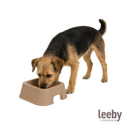 Leeby Comedero Cuadrado Taupe para perros