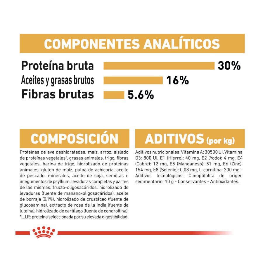 Royal Canin Adult Norwegian Forest pienso para gatos thumbnail