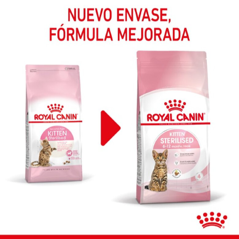 Royal Canin Kitten Sterilised pienso para gatos, , large image number null