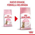 Royal Canin Kitten Sterilised pienso para gatos, , large image number null