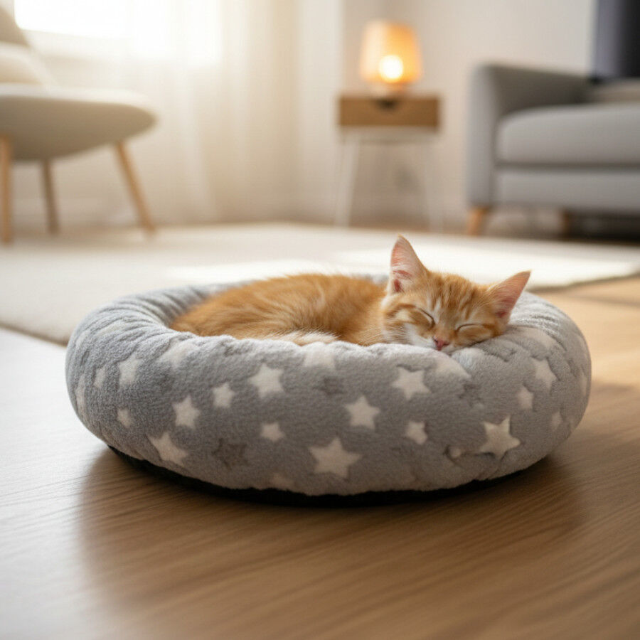 Leeby Cama Donut Estrella Gris para gatos, , large Imagen numero 1