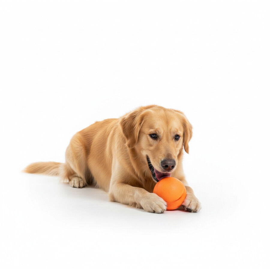 BECO Pelota Portagolosinas de Goma Naranja para perros thumbnail