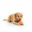 BECO Pelota Portagolosinas de Goma Naranja para perros, , large indicador imagen numero 4