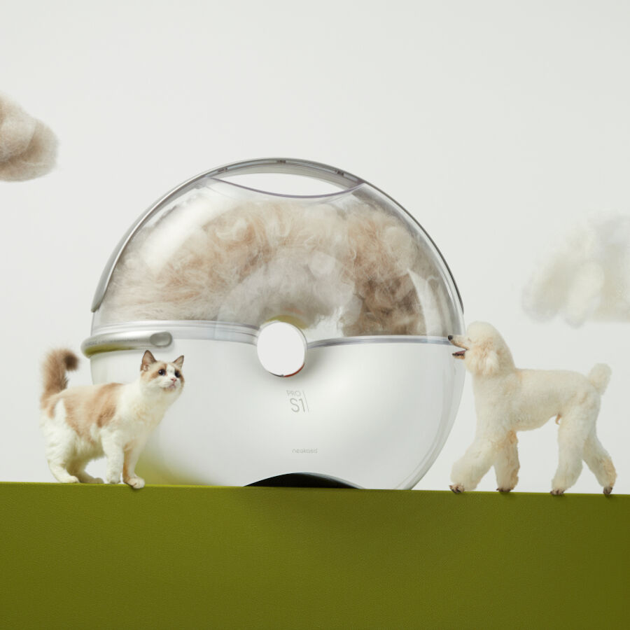 Neakasa S1 Pro Aspiradora con Kit Aseo para perros y gatos, , large Imagen numero 2