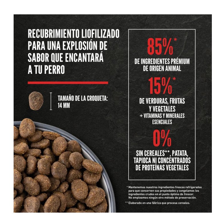 11.4 kg Orijen Adult Regional Red pienso para perros,  Imagen numero 5 11.4 kg Orijen Adult Regional Red pienso para perros, , large Imagen numero 5