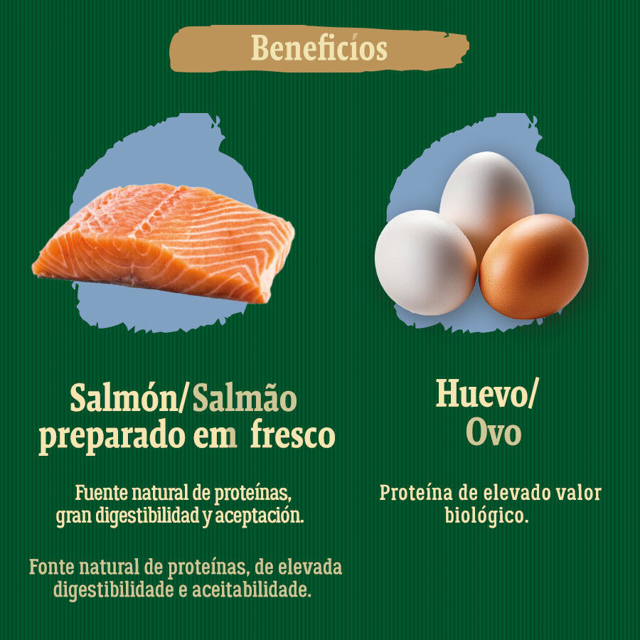 True Origins Wild Esterilizado Pacific Salmón pienso para gatos thumbnail