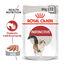 85 g Royal Canin Instinctive paté sobre para gatos, , large indicador imagen numero 1