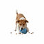 BECO Portagolosinas de Goma Azul para perros, , large indicador imagen numero 6