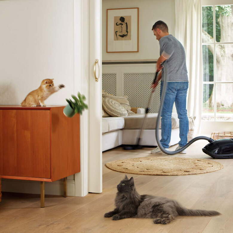 Beaphar CatComfort Relajante en Spray para el estrés ocasional en gatos, , large image number null