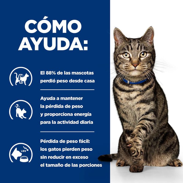 Hill&#039;s Prescription Diet Metabolic pienso para gatos thumbnail