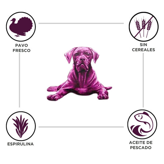 Criadores Adulto Grain Free Pavo pienso para perros de raza mediana y grande, , large image number null