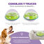 Outward Hound Wobble Bowl Juguete Interactivo Portagolosinas para perros, , large indicador imagen numero 4