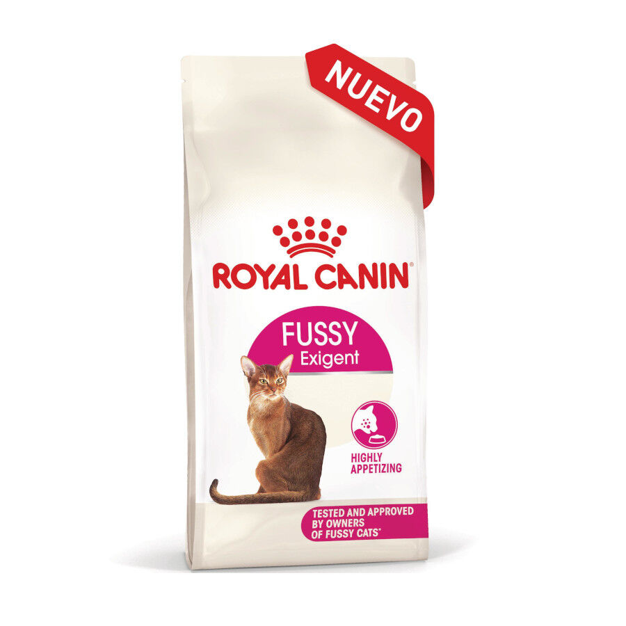 Royal Canin Fussy Exigent Pienso para gatos thumbnail