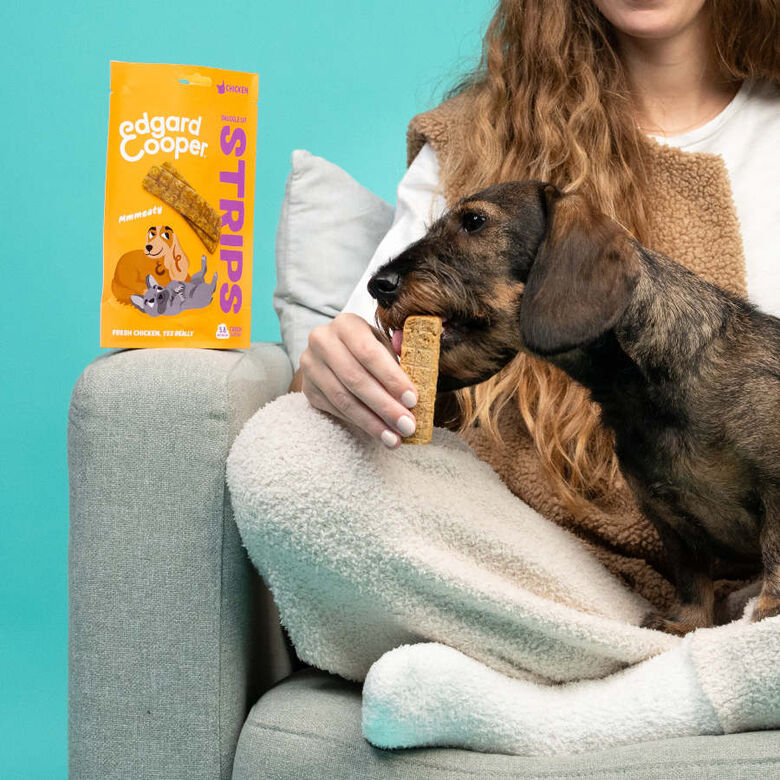 Edgard &amp; Cooper Tiras de Pavo y Pollo snack para perros thumbnail