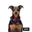 Gotoo Collar de malla transpirable rojo para perros, , large indicador imagen numero 6