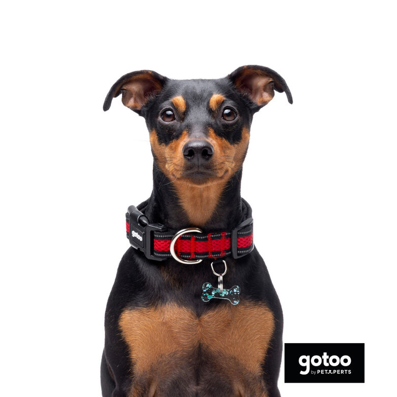 Gotoo Collar de malla transpirable rojo para perros thumbnail