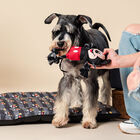 Disney Mickey Cuerda Dental juguete para perros, , large image number null