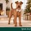 Wonder Christmas Pajarita Caramelo para perros, , large indicador imagen numero 2