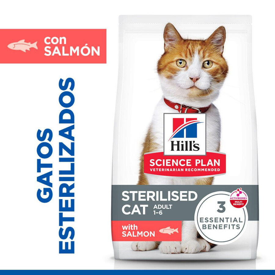 10 kg Hill's Science Plan Sterilised Adult Salm&oacute;n pienso para gatos, , large Imagen numero 2