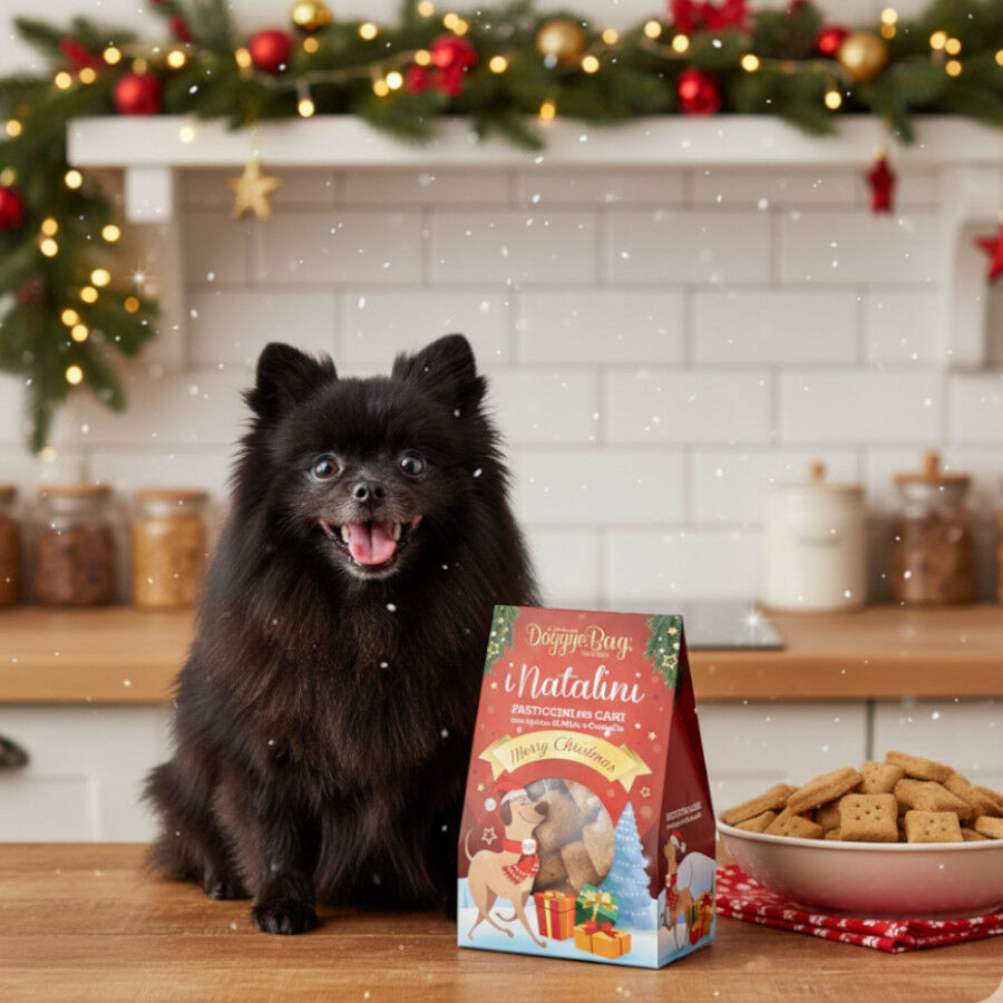 180 g Doggyebag Galletas Navide&ntilde;as Manzana para Perros, , large Imagen numero 2