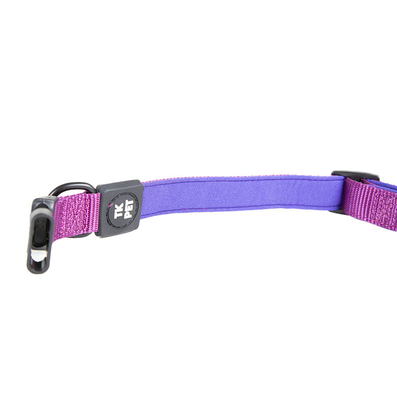 TK-Pet Neo Classic Collar de Nylon Morado para perros thumbnail