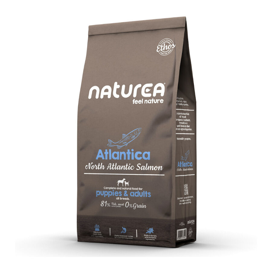 10 kg Naturea Ethos Atl&aacute;ntica Salm&oacute;n del Atl&aacute;ntico Norte pienso para perros, , large Imagen numero 1