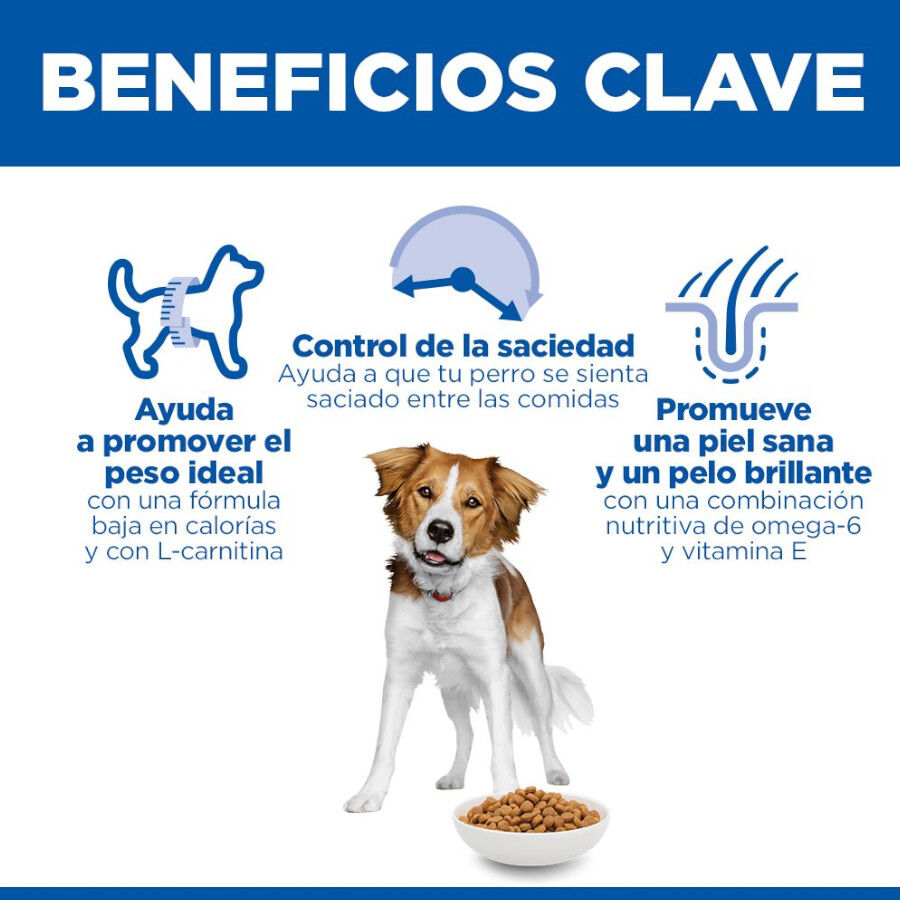 Hill&#039;s Science Plan Light pienso pollo perros de razas medianas thumbnail