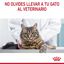 8 kg Royal Canin Adult Light Weight Care pienso para gatos, , large indicador imagen numero 4