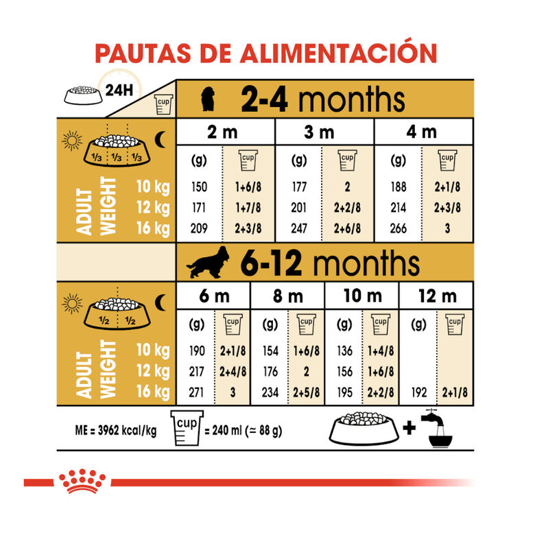 Royal Canin Puppy Cocker pienso para perros thumbnail