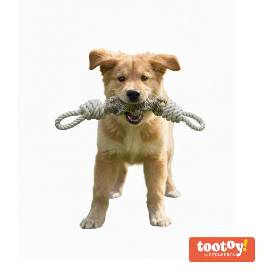 Tootoy! Mordedor de Cuerda con Nudos para perros thumbnail