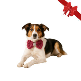 Wonder Christmas Pajarita Navideña Roja para perros,  Wonder Christmas Pajarita Navideña Roja para perros