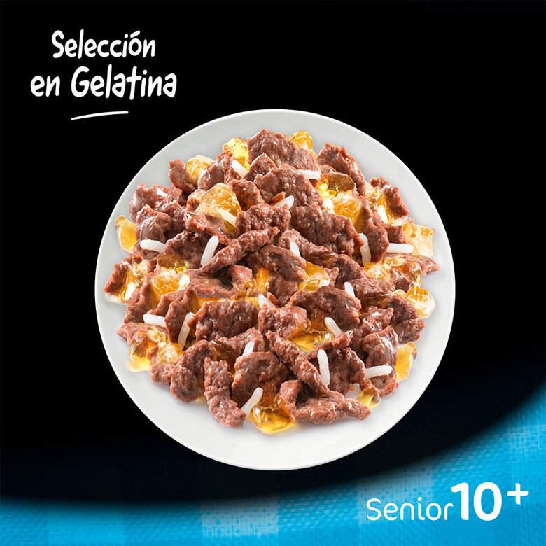 Cesar Carnes Mixtas Gelatina en Bolsita para Perros Senior - Multipack thumbnail