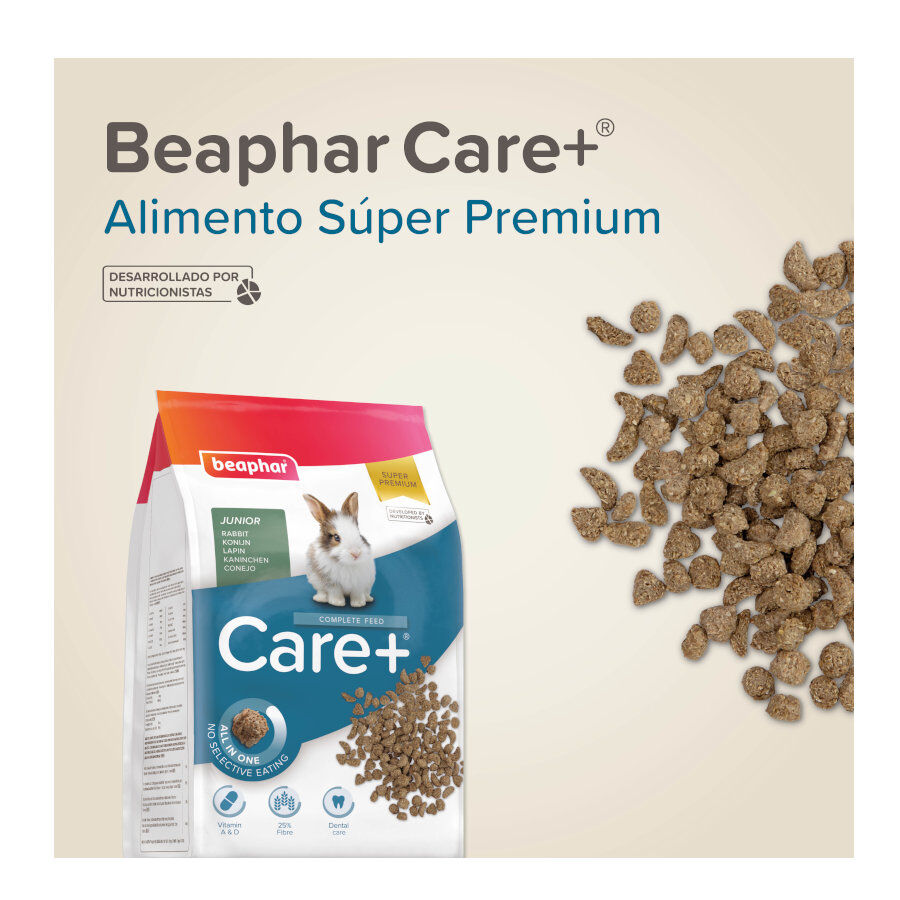 Beaphar Care + Junior Pienso para conejo junior, , large Imagen numero 8