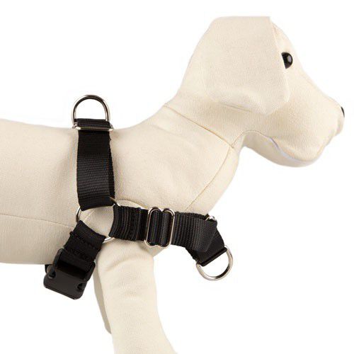 TK-Pet doble enganche arn&eacute;s educativo para perros Imagen numero 1