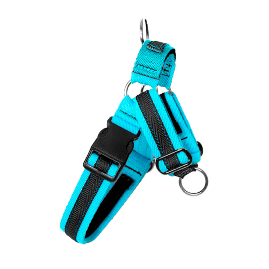 Freedom and Color Arnés Anti-tirones Azul para perros