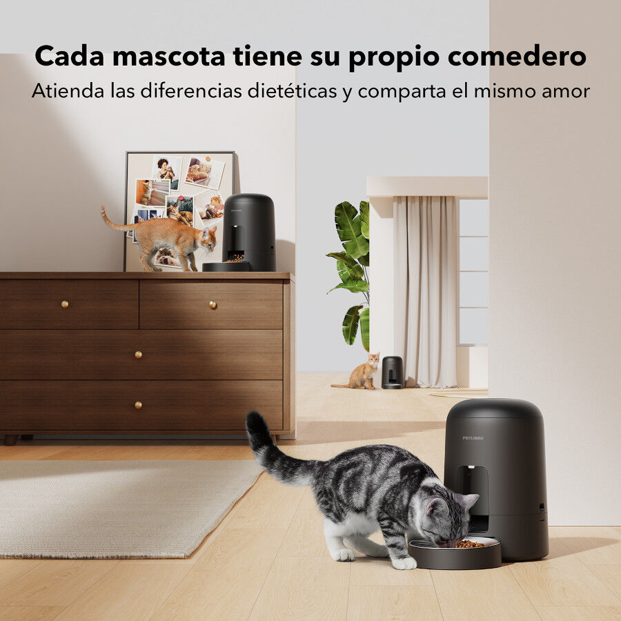 Petlibro Air Comedero autom&aacute;tico para perros y gatos, , large Imagen numero 5