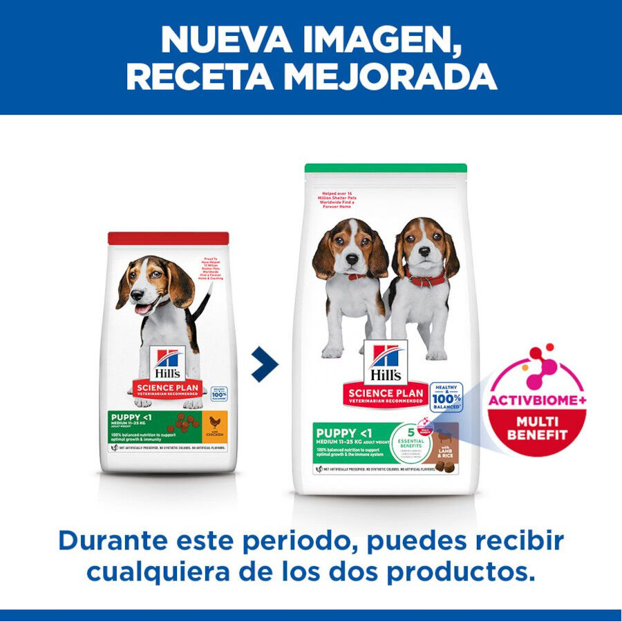 14 kg Hill's Science Plan Puppy Medium Cordero y arroz Pienso para perros, , large Imagen numero 3